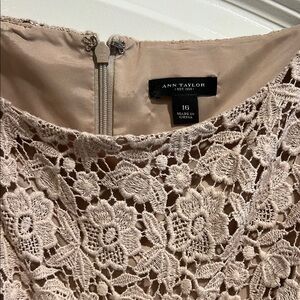 Ann Taylor Lace Dress